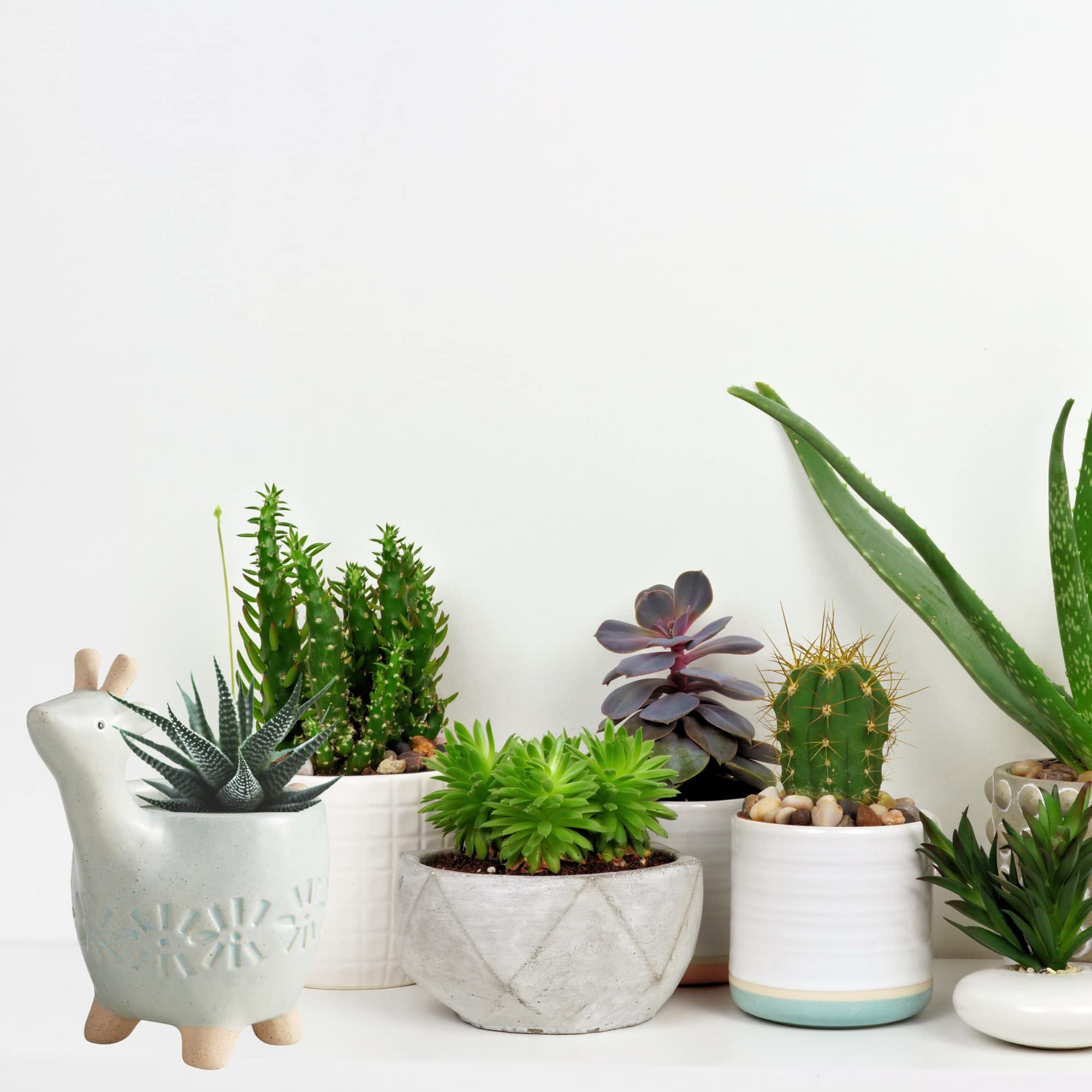 Mini-Weißer Hirsch Übertopf – Niedlicher Keramik-Topf Für Sukkulenten | 6,6x9,9 Cm | Dekoration Für Zuhause & Büro