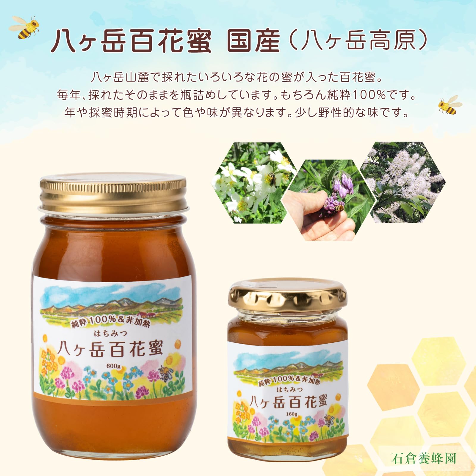 Amazon | 国産 純粋はちみつ 非加熱 無添加 【石倉養蜂園】 (600g