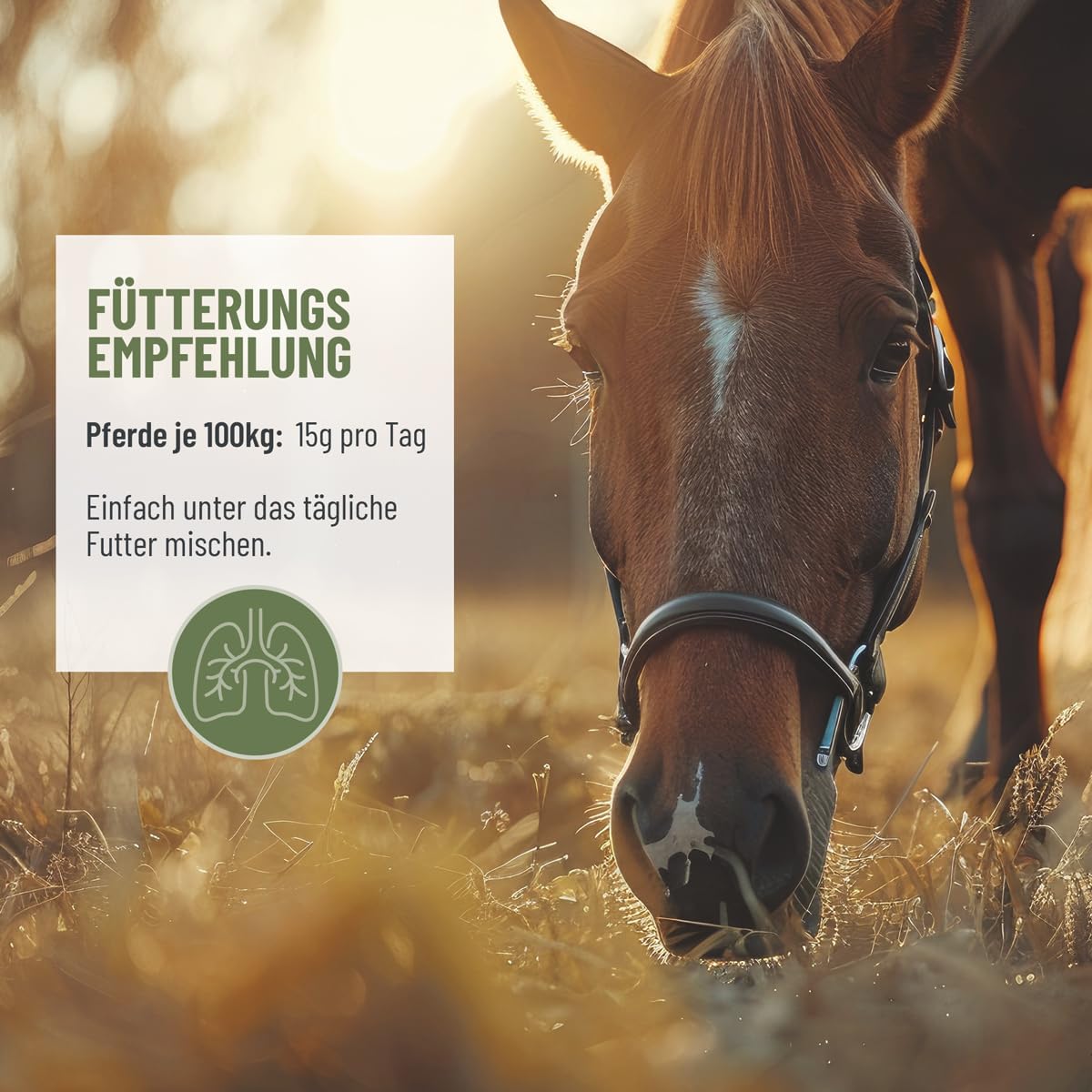 ReaVET Erbe bronchiali cavallo 1 kg – erbe naturali per tosse e naso che cola, erbe respiratorie cavalli come alimento complementare, erbe per la tosse per le vie respiratorie libere