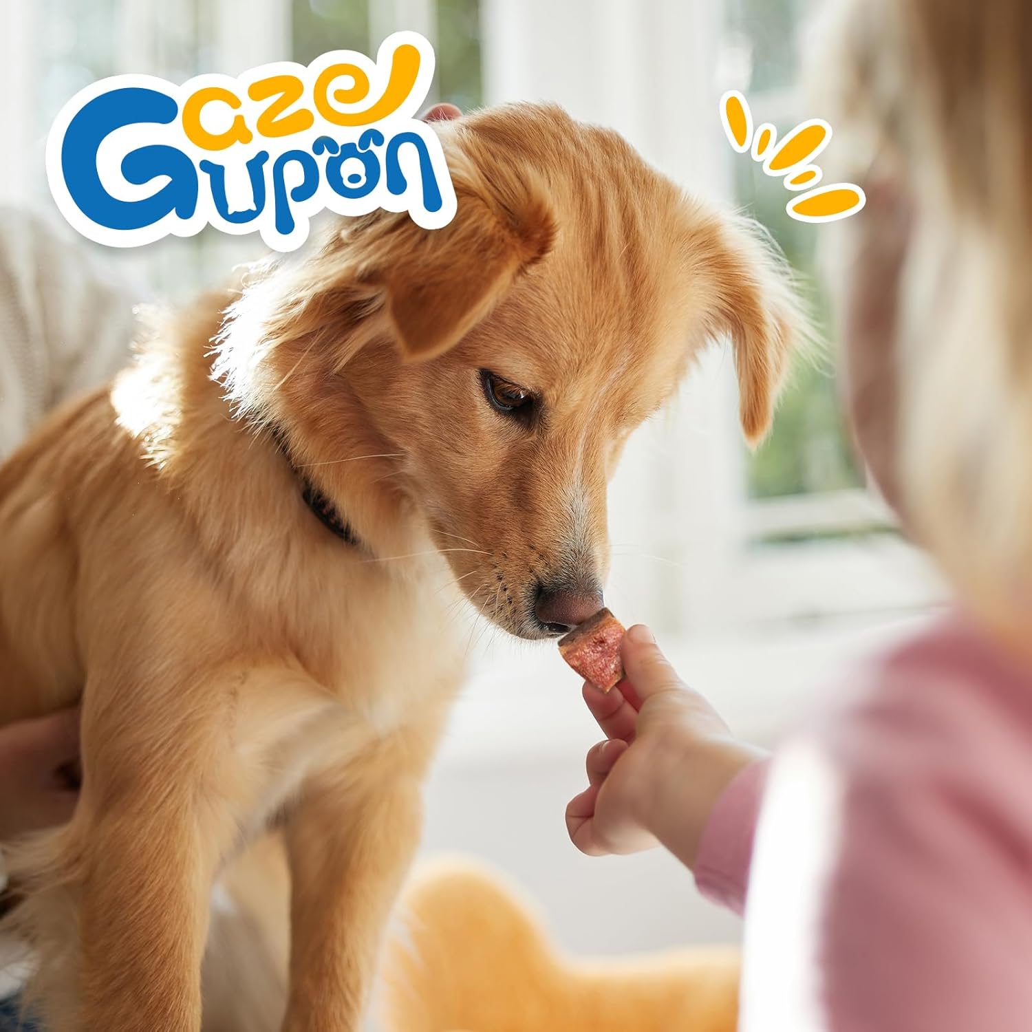 gazeupon Soft Dog Jerky Treats for Large Dogs, Triple Flavored Meat Bites, Healthy Training Snacks Made with Real Chicken, Duck, Beef
