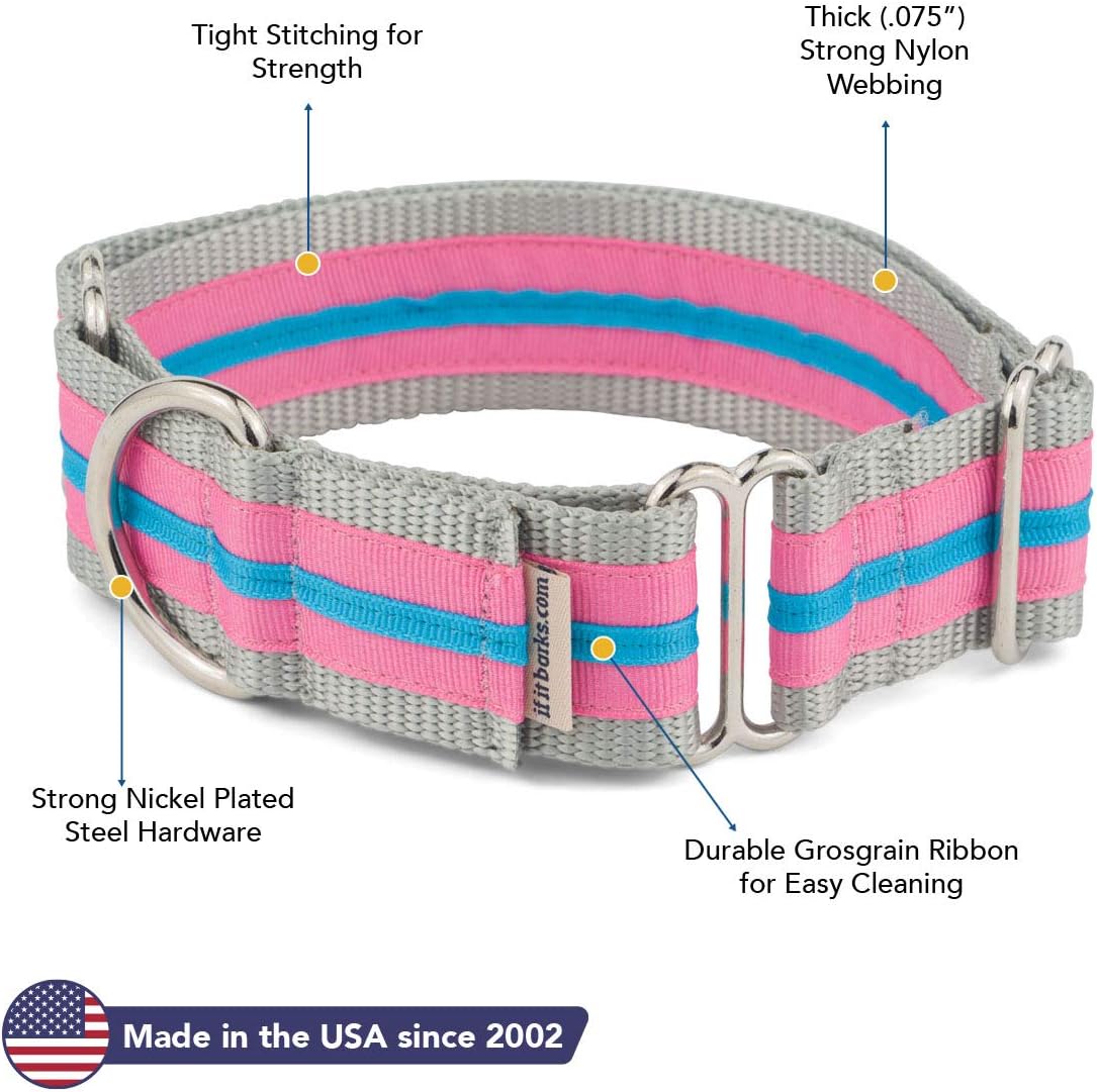 If It Barks - 1.5" Martingale Collar for Dogs - Stripe Design - Adjustable - Strong and Comfy Nylon - Ideal for Training - Made in USA - Medium, Hot Pink/Turquoise