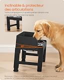 Feandrea Gamelle pour Chien Surélevée, avec Support, Ajustable en Hauteur et Inclinable, Support Gamelle, 2 Bols en Acier Inoxydable 304, 1 Bol Anti-Glouton, Noir d'encre PRB103B01 - 5