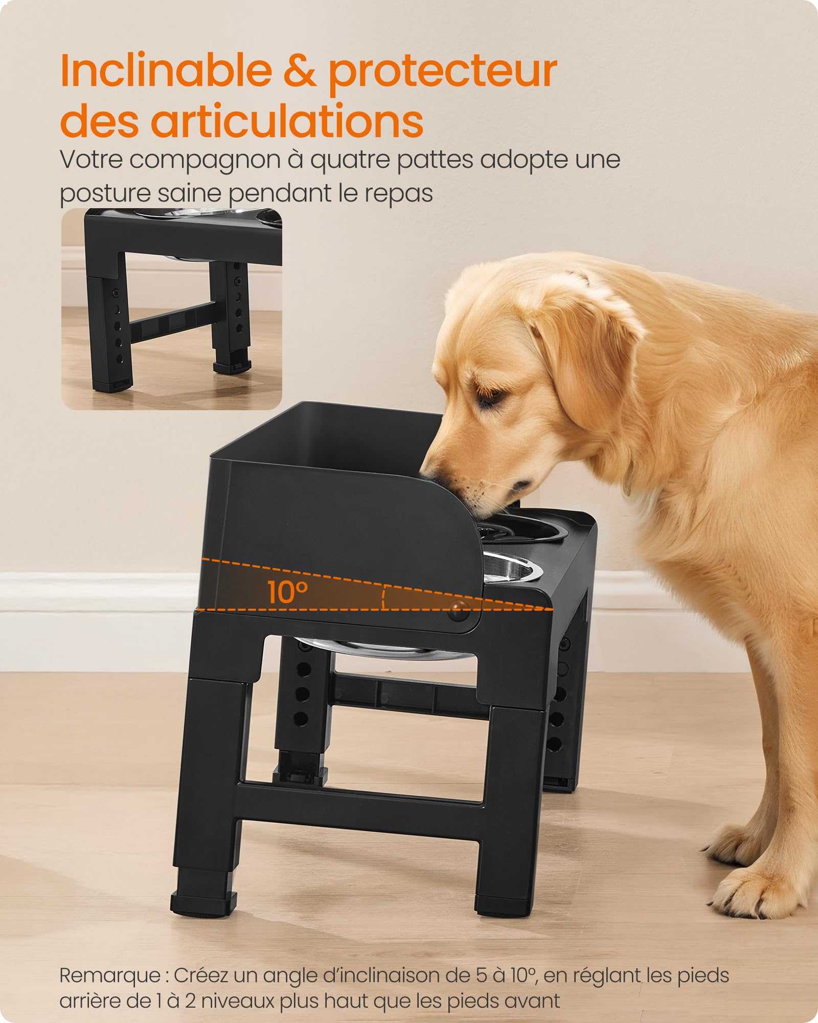 Feandrea Gamelle pour Chien Surélevée, avec Support, Ajustable en Hauteur et Inclinable, Support Gamelle, 2 Bols en Acier Inoxydable 304, 1 Bol Anti-Glouton, Noir d'encre PRB103B01