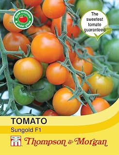 Thompson & Morgan - Vegetables - Tomato Sungold F1 Hybrid - 10 Seed