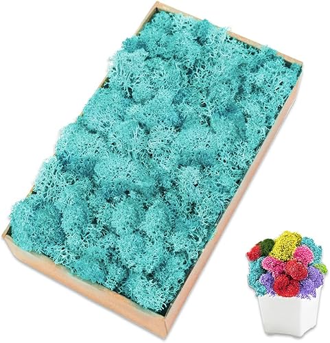 TCYPUHL Musgo preservado para manualidades musgo de reno azul para plantas en maceta decoración de musgo decorativo para arte de pared musgo seco 7