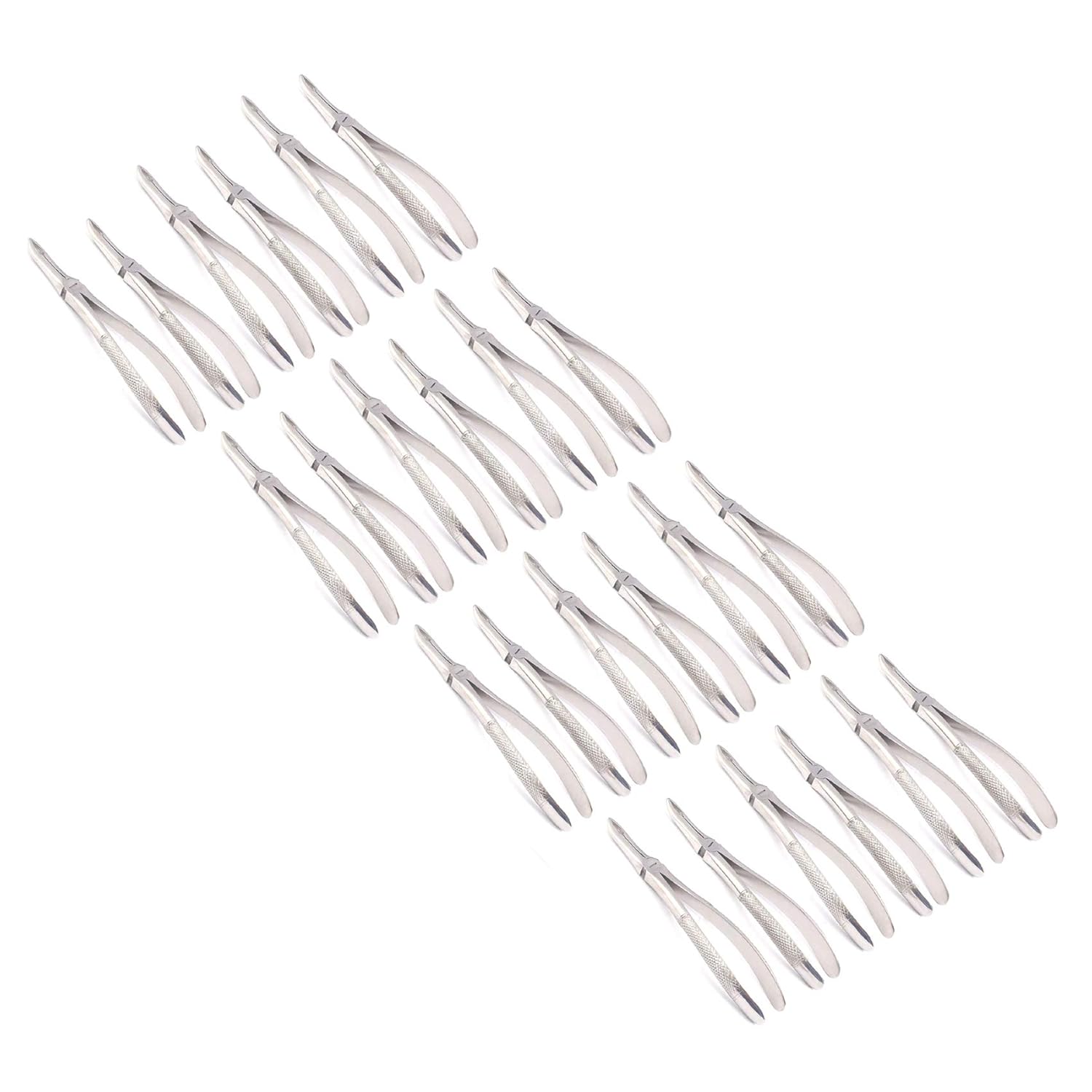 OdontoMed2011 Set Of 24 Dental Extracting Forceps 44 Dental Extraction Instruments ODM