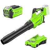 Greenworks 40V Akku Gebläse, Akku laubbläser mit 193 km/h Luftgeschwindigkeit, Luftmenge 14,2 m³/min, Verstellbare Düse, Stufenlose Geschwindigkeit (mit 2Ah Akku & Ladegerät)