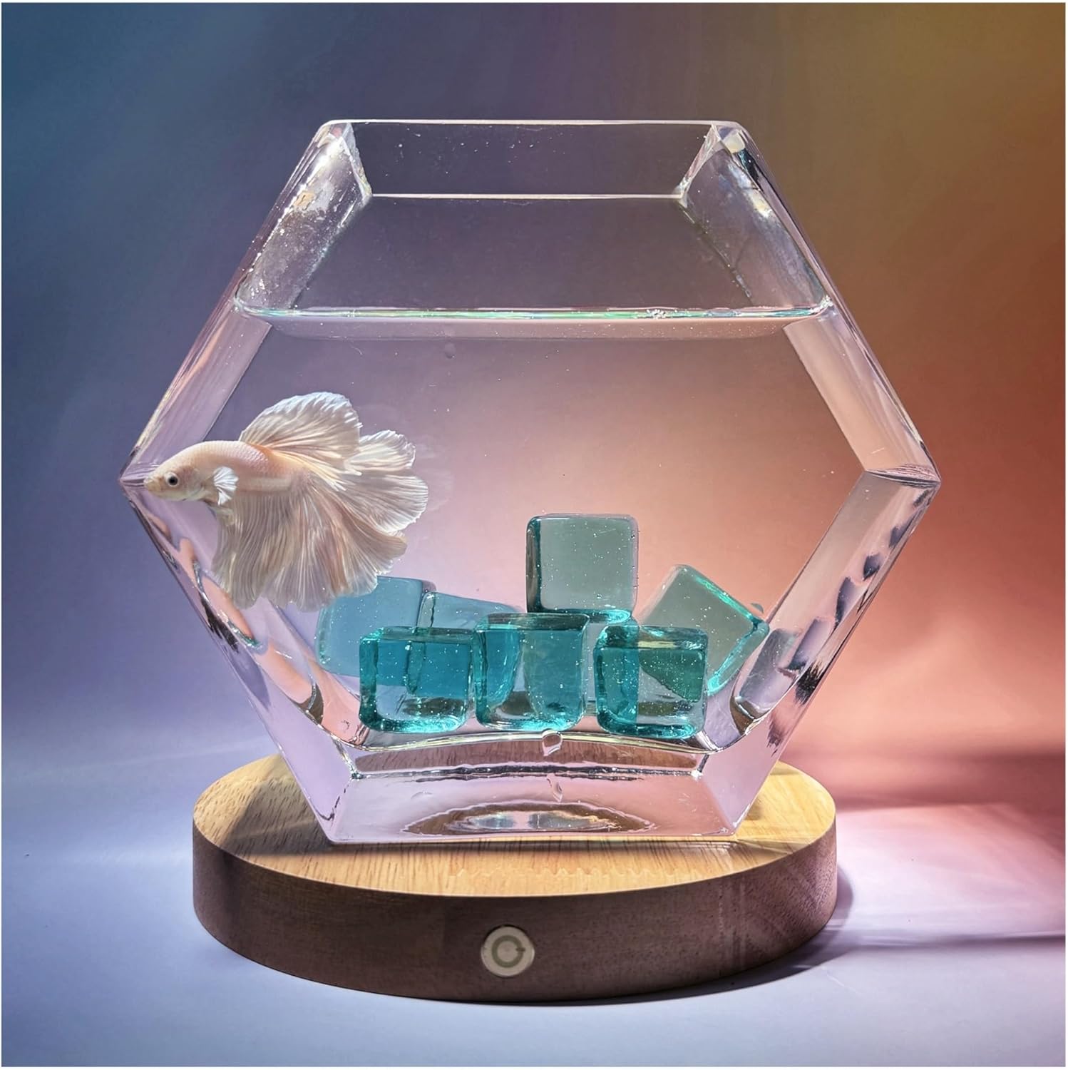 Fish Aquarium Tank 2024 New Fighting Fish Aquarium with Base Pentagonal Transparent Glass Small Fish Tank Living Room Desktop Aquascape Decorative Ornaments Aquarium Tank