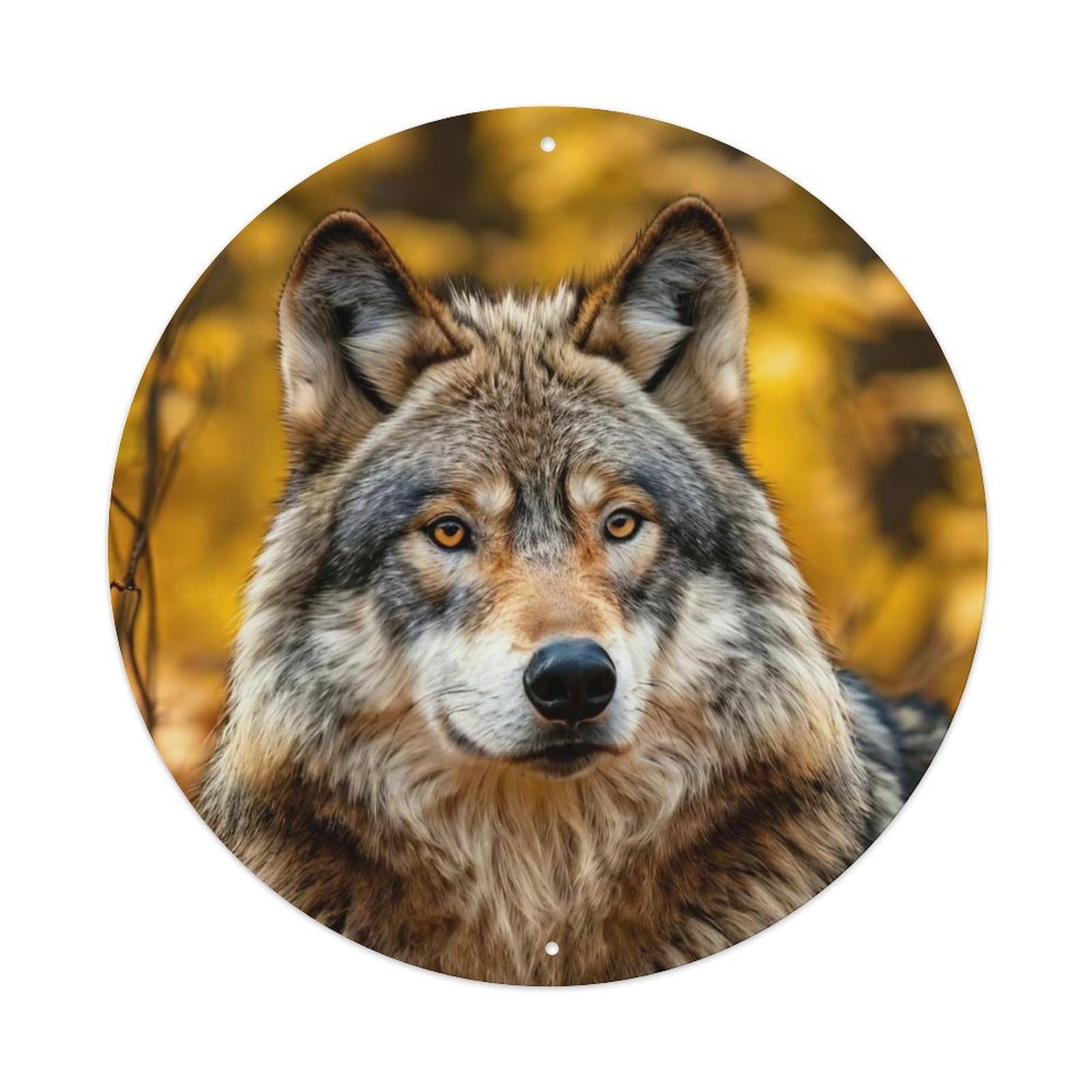 Cwbufd Vintage Style Animal Grey Wolf In Autumn Forest Wildlife Photography Realistic Detail Vintage Metal Tin Sign Plaque Wall Decor For Cafe, Club Bar, Office, Garden Metal Poster 8X8inch