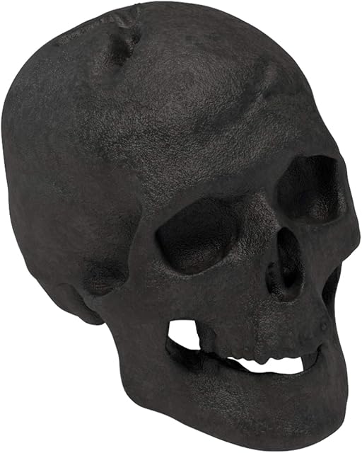 Regal Flame Human Skull Ceramic Wood Large Gas Fireplace Logs Logs for All Types of Gas Inserts, Ventless & Vent Free, Propane, Gel, Ethanol, Electric, or Outdoor Fireplaces & Fire Pits - Black