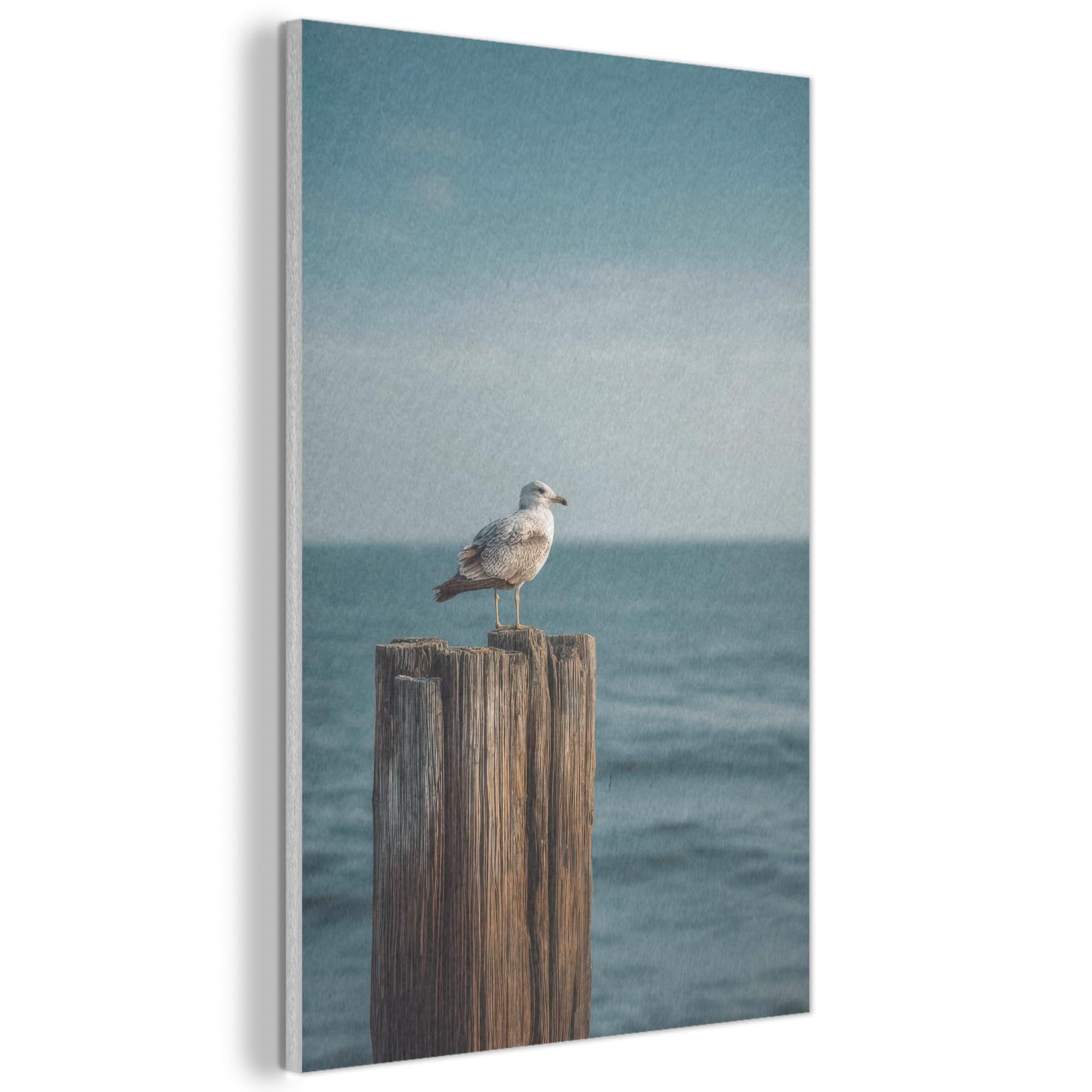 MuchoWow© Felt Panel 40x60 cm House Touch for Living Space Modern Visuals Decoration Wall Art Gull - Pole - Sea