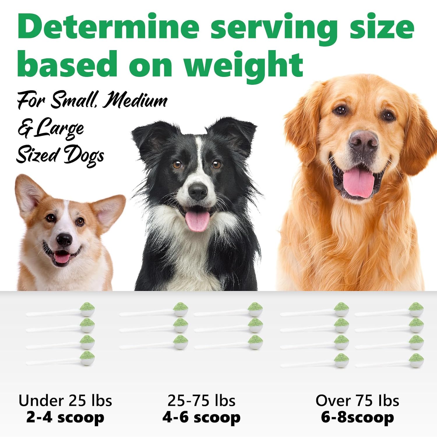 dog dental powder easy to use dog teeth cleaner