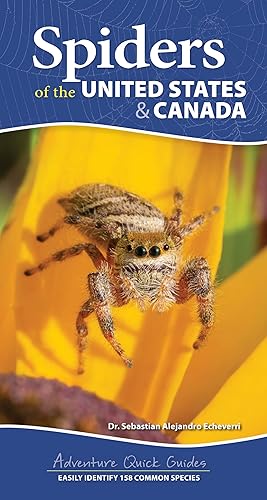 Spiders of the United States &amp; Canada: Easily Identify 158 Common Species (Adventure Quick Guides)