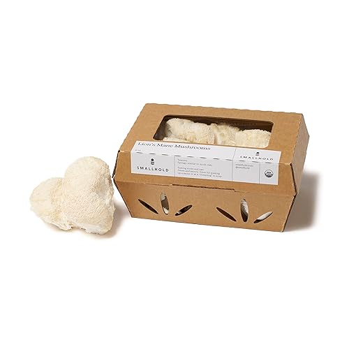 Smallhold, Melena orgánica de león de hongos, 8 onzas