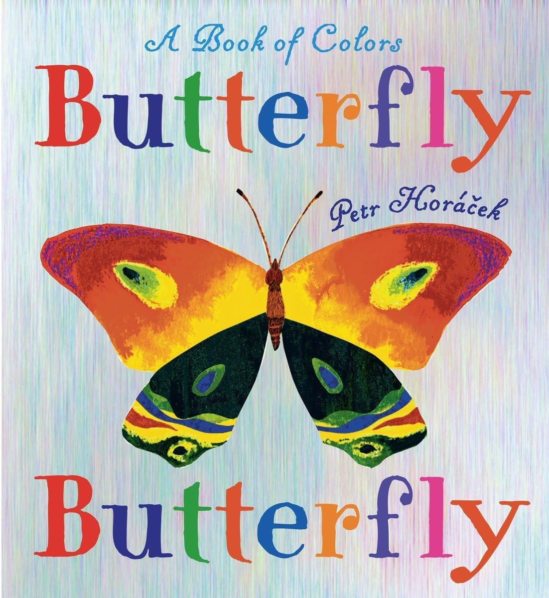 Butterfly Butterfly: A Book of Colors Hardcover – March 13, 2007