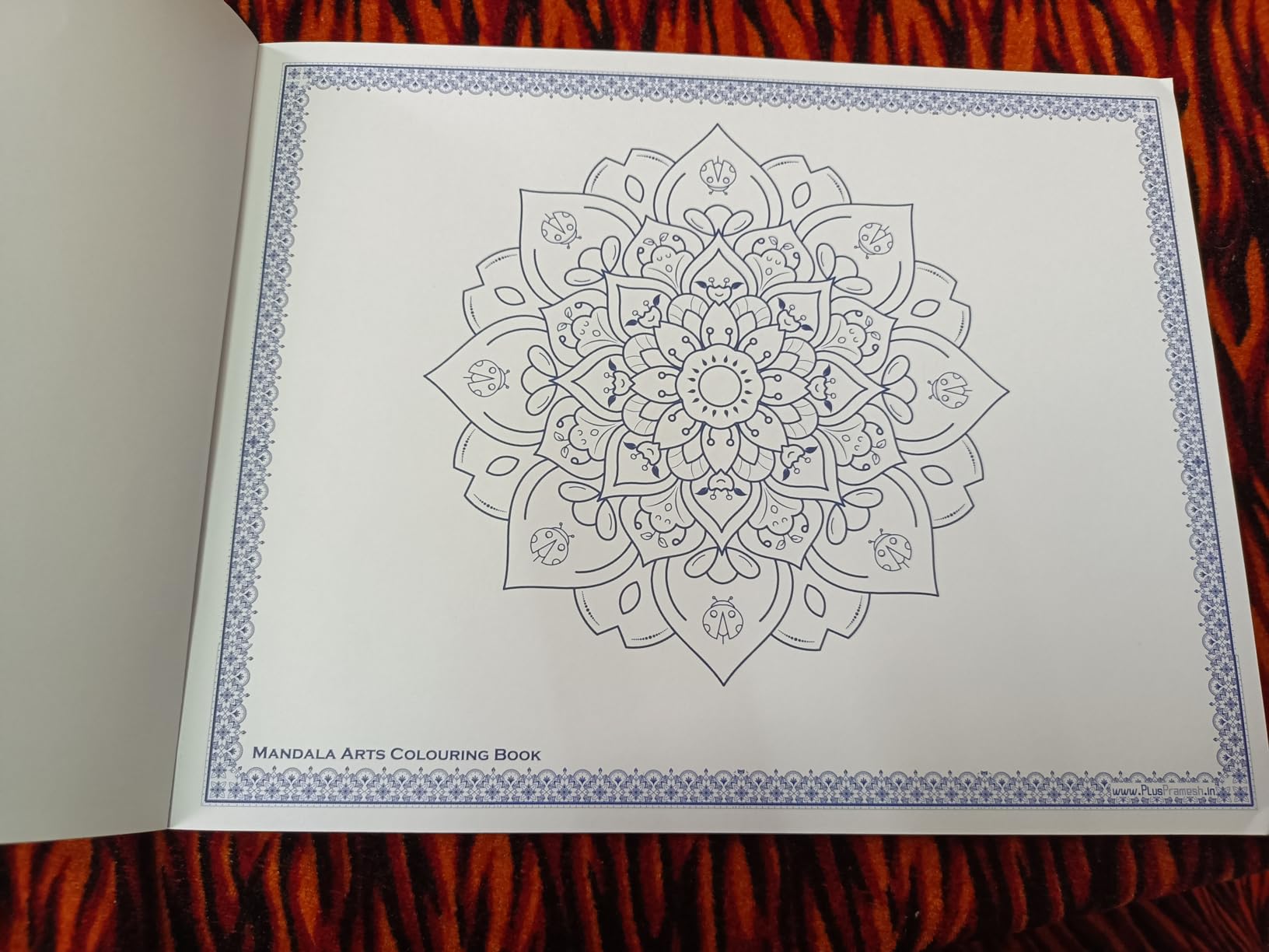 Buy Mandala Art Colouring Books for Adults with Tear Out Sheets Book 1 ...