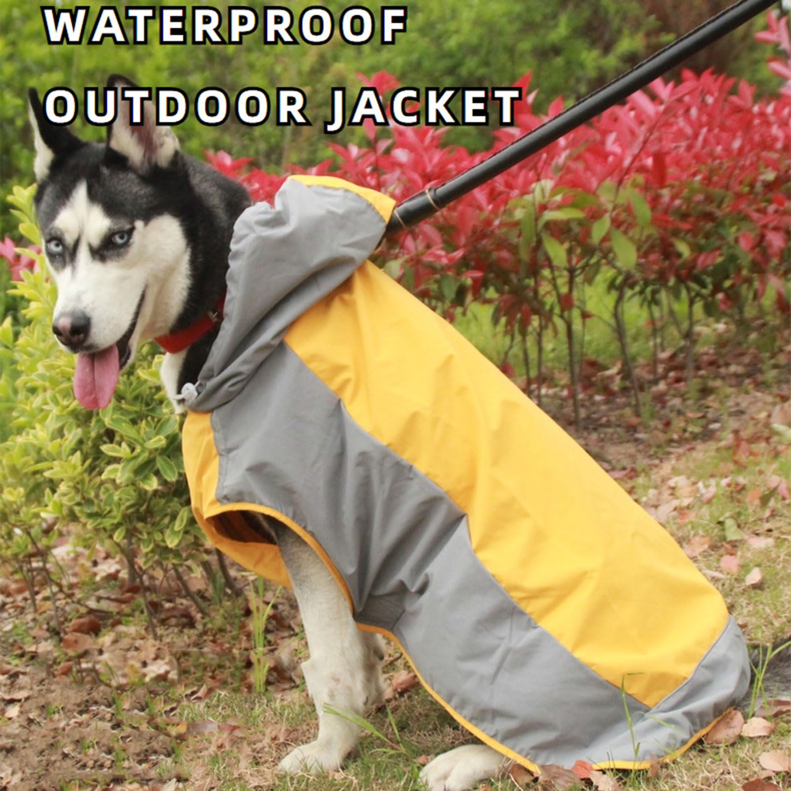 Manteau de Pluie imperméable pour Animaux de Compagnie, imperméable pour Chiens, activités de Plein air, Vestes de Pluie pour Chiens de et Moyenne Taille, vêtements réfléchissants Coupe-Vent en