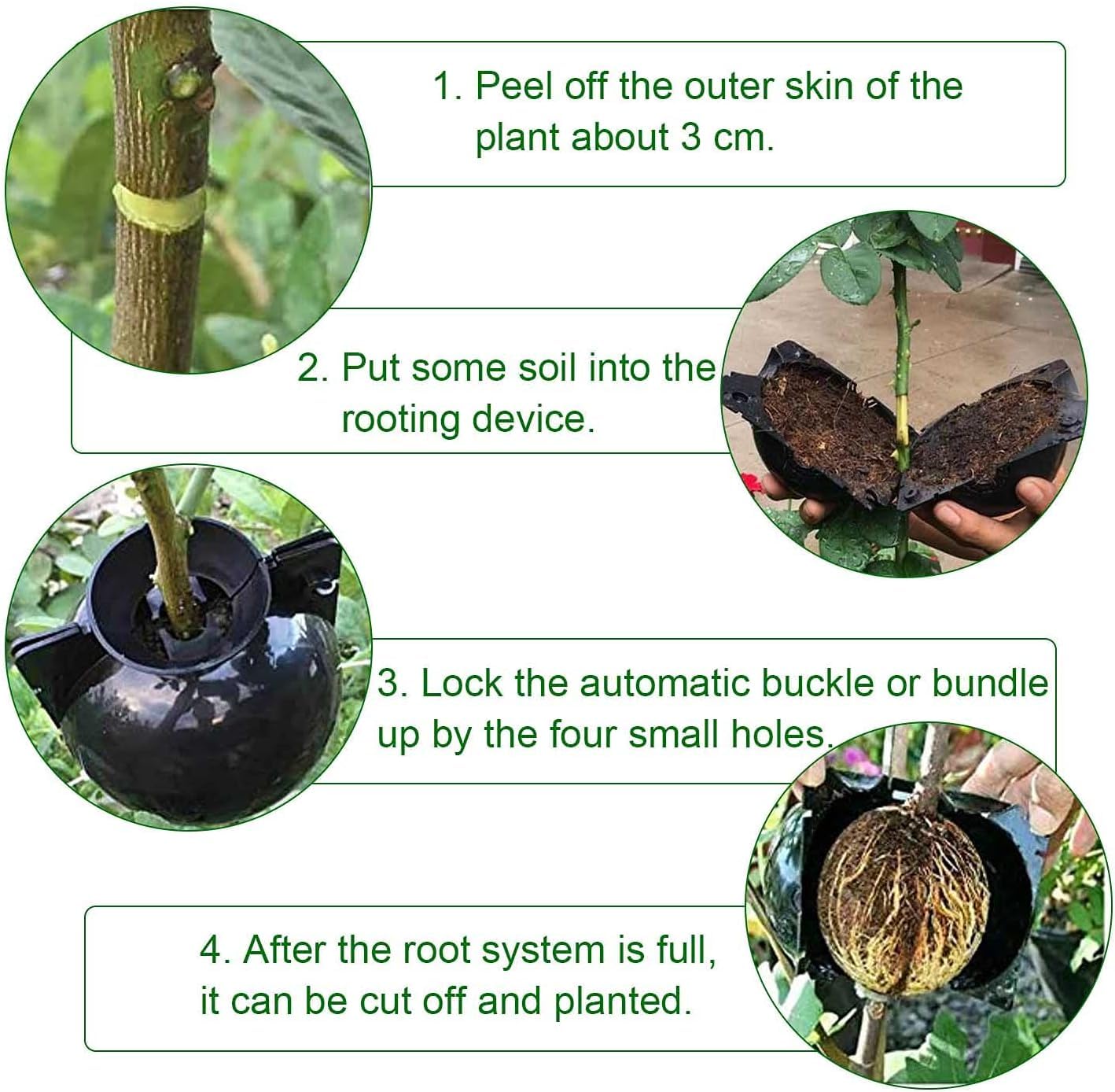 Large Air Layering Pods, 4.7” High Pressure Propagation Plastic Grafting Box, Reusable Botany Root Controller, Plant Root Growing Boxes for Plants Asexual Reproduction (30)