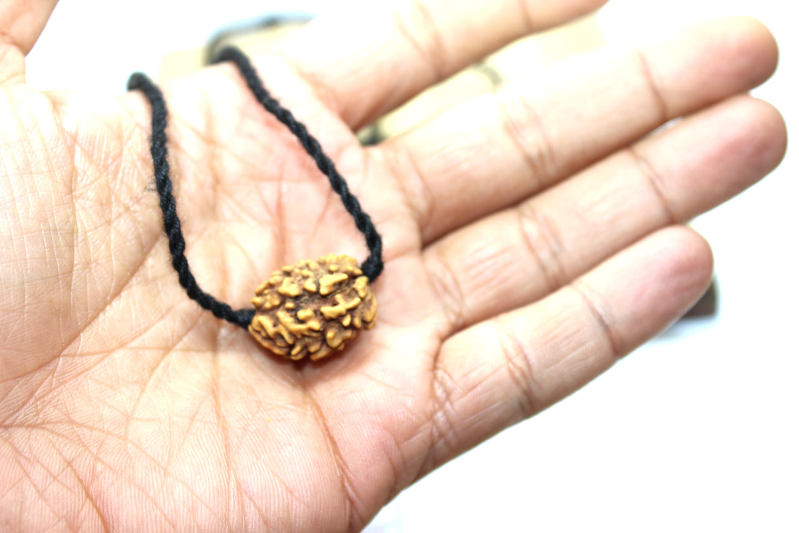 Certified 3 Mukhi Rudraksha Shiva pendant mala bead, Agni Surya yoga jewelry, big Rudraksh choker, Protection jewellery, Hindu necklace