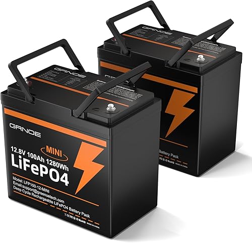 Miniatura 12 de Batería de litio LiFePO4 de 12 V y 100 Ah para RV, barco, motor de arrastre | Tamaño mini, BMS de 100 A integrado, más de 4000 ciclos, ligera, fuera