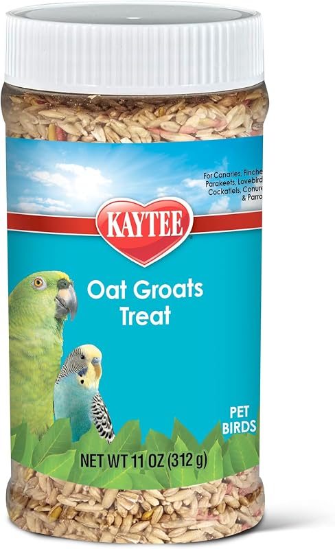 Kaytee Tarro de golosinas de avena para pájaros domésticos, 11 onzas | Más variedad de comida para pájaros. Delicias crujientes para pájaros. Fácil de servir, fuente de proteínas, delicias para periquitos.