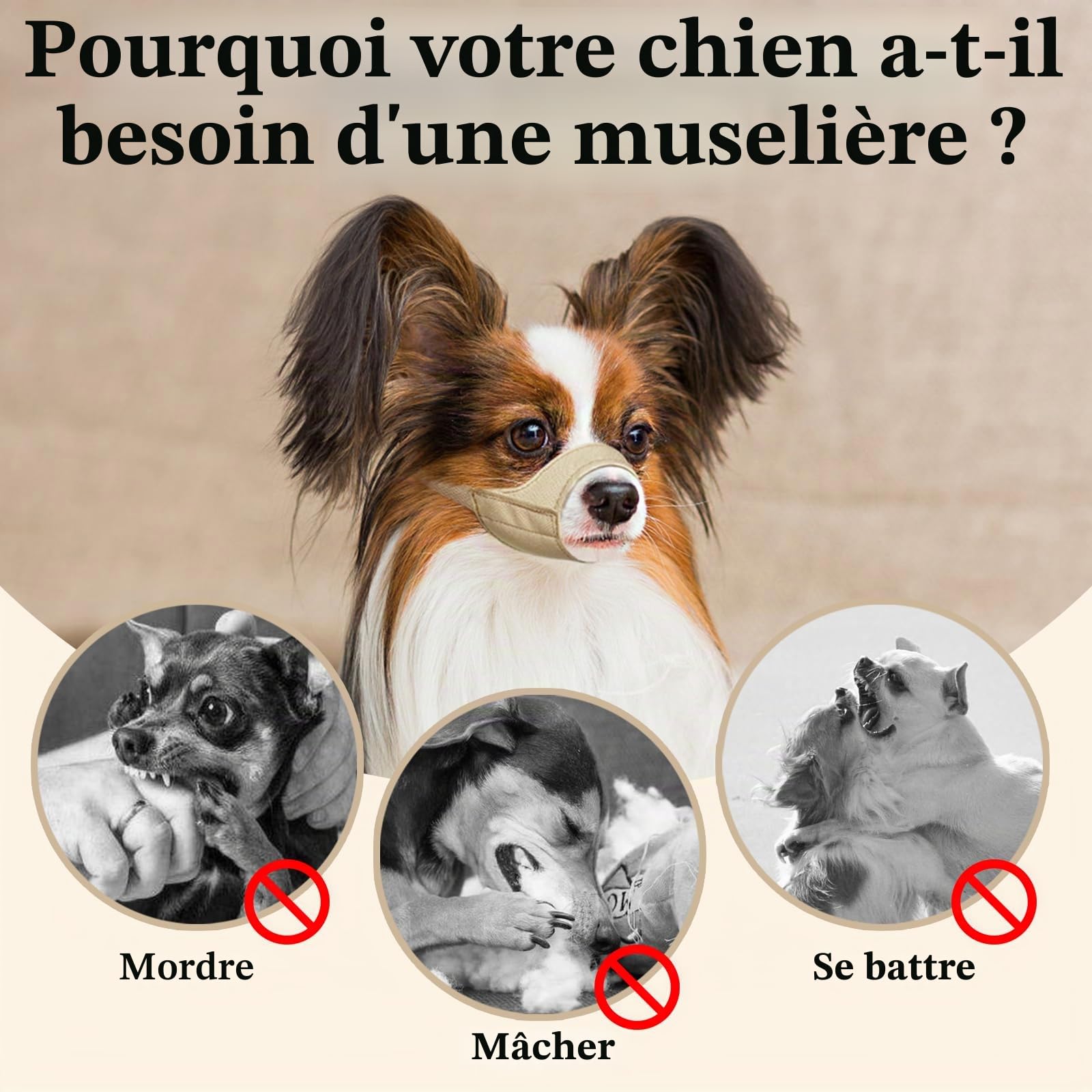 Mayerzon Muselière à museau Court pour Chihuahua, Shih tzu, Boxeur américain, muselière en Tissu Doux pour Le toilettage des visites vétérinaires, empêche Les morsures et Les Combats