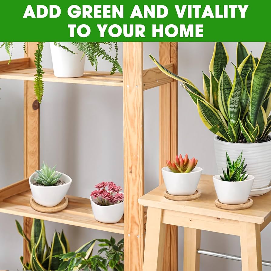 Amazon.com: Domensi 24 Pack Succulent Planter Pots 3 Inch Small