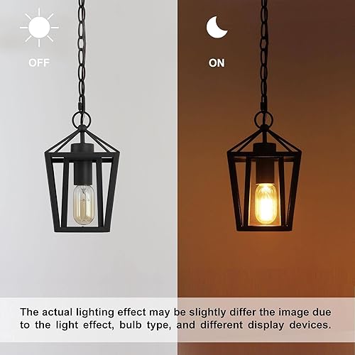 Miniatura 8 de classy leaves Lámpara colgante para exteriores, moderna lámpara colgante de granja para exteriores, 1 luz negra colgante para exteriores, con