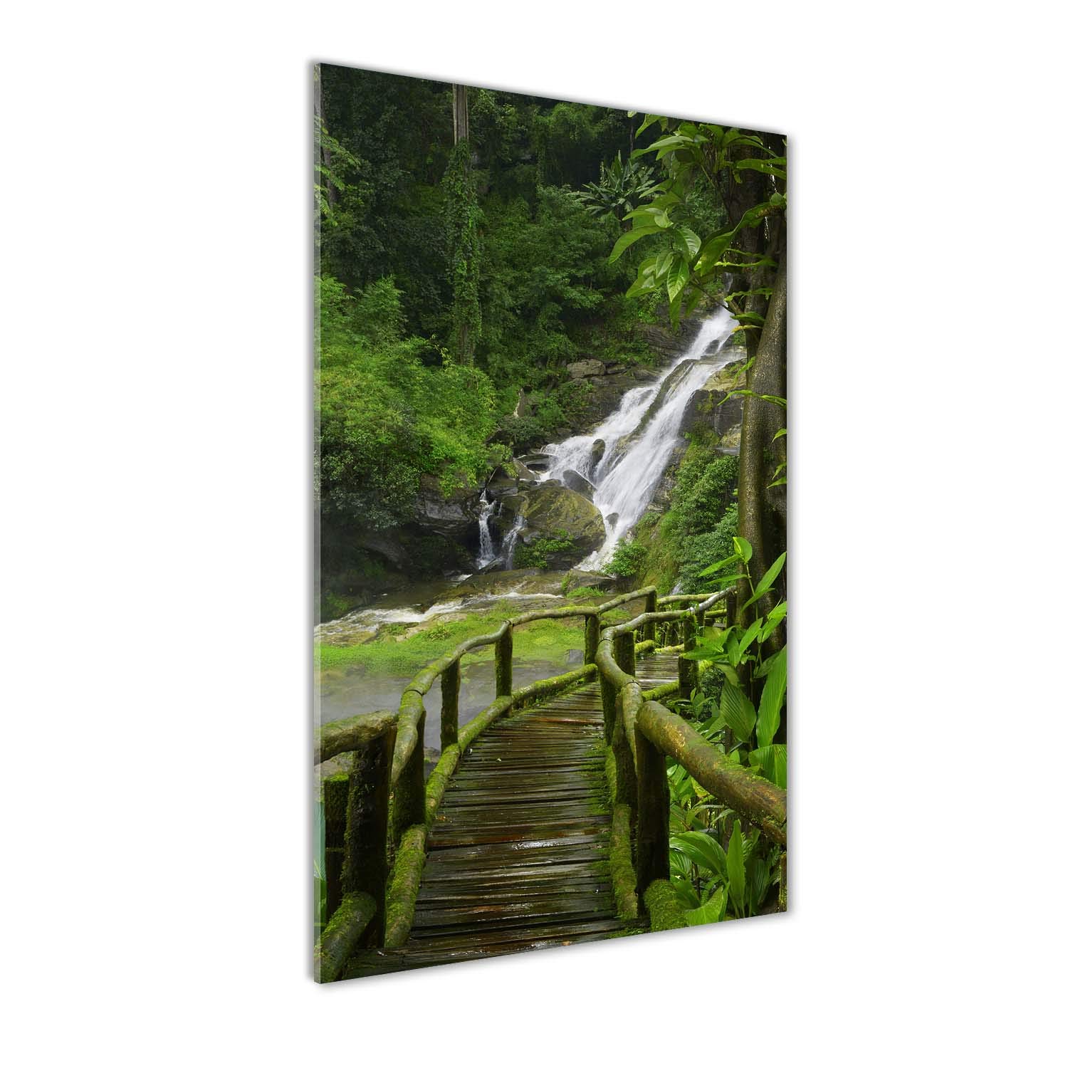 Peinture sur verre trempé 70x140cm un chemin dans la jungle pour décoration murale