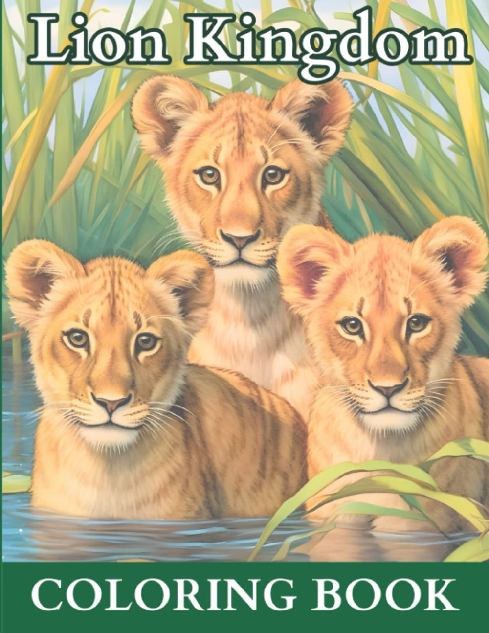 Lion Kingdom Coloring Book: Realistic Lions In Their Natural Habitats For Creative Coloring By Ages 10-12, Preteens, Teens, and Adults