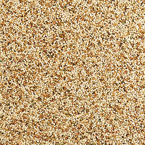 Wild Harvest P-99267 Daily Blend Nutrition Diet For Parakeet, Canary And Finch 10 Pounds thumb #3