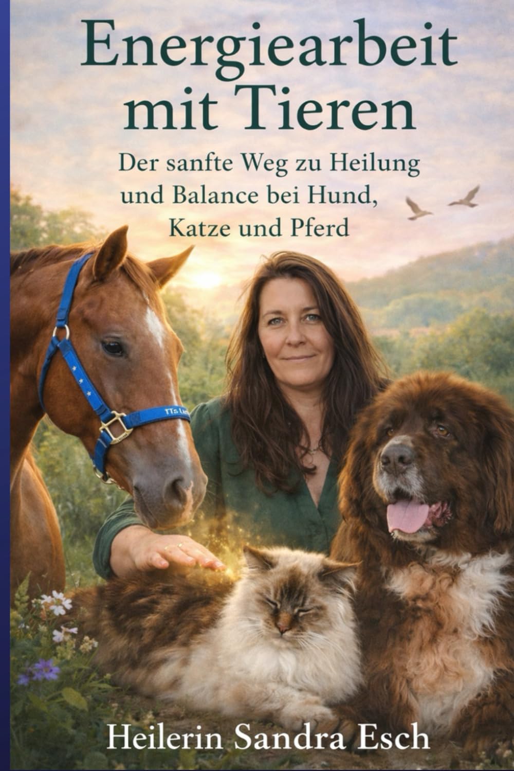 Energiearbeit mit Tieren: Der sanfte Weg zu Heilung und Balance bei Hund, Katze und Pferd