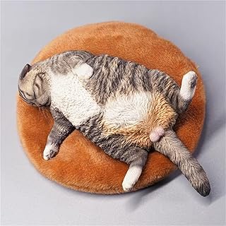 WLNTDOLA 1:6 Scale Lethargic Cat Pet Healing Figure Mat Realistic Animal Model