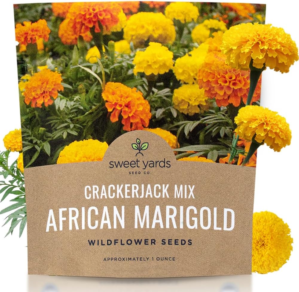 Sweet Yards African Marigold Seeds Mix Crackerjack Mix - Bulk 1 Ounce Packet - Over 10,000 Seeds - Huge Orange and Yellow Blooms - Adaptable to All US Regions - Pollinator Friendly