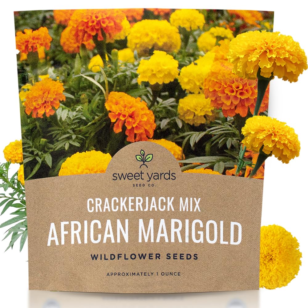 Sweet Yards African Marigold Seeds Mix Crackerjack Mix - Bulk 1 Ounce Packet - Over 10,000 Seeds - Huge Orange and Yellow Blooms - Adaptable to All US Regions - Pollinator Friendly