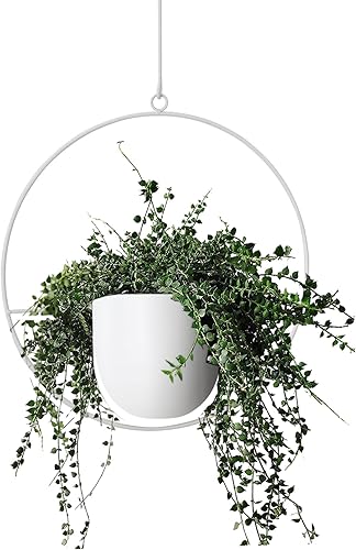 Miniatura 7 de 2 macetas colgantes para plantas de interior y exterior con ganchos y cadenas, perchas modernas de metal para pared y techo, cesta minimalista