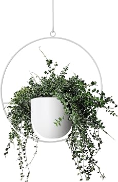 Hanging Planter Indoor Modern Boho Plant Pot Metal Wall and Ceiling Plant Holder, Mid Century Minimalist Flower Pot for Hanging PlantsWhite