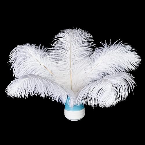 Piokio 20 plumas de avestruz natural blanco natural de 8-10 pulgadas (7.9-9.8 in) a granel para decoraciones de Navidad, centros de mesa de fiesta
