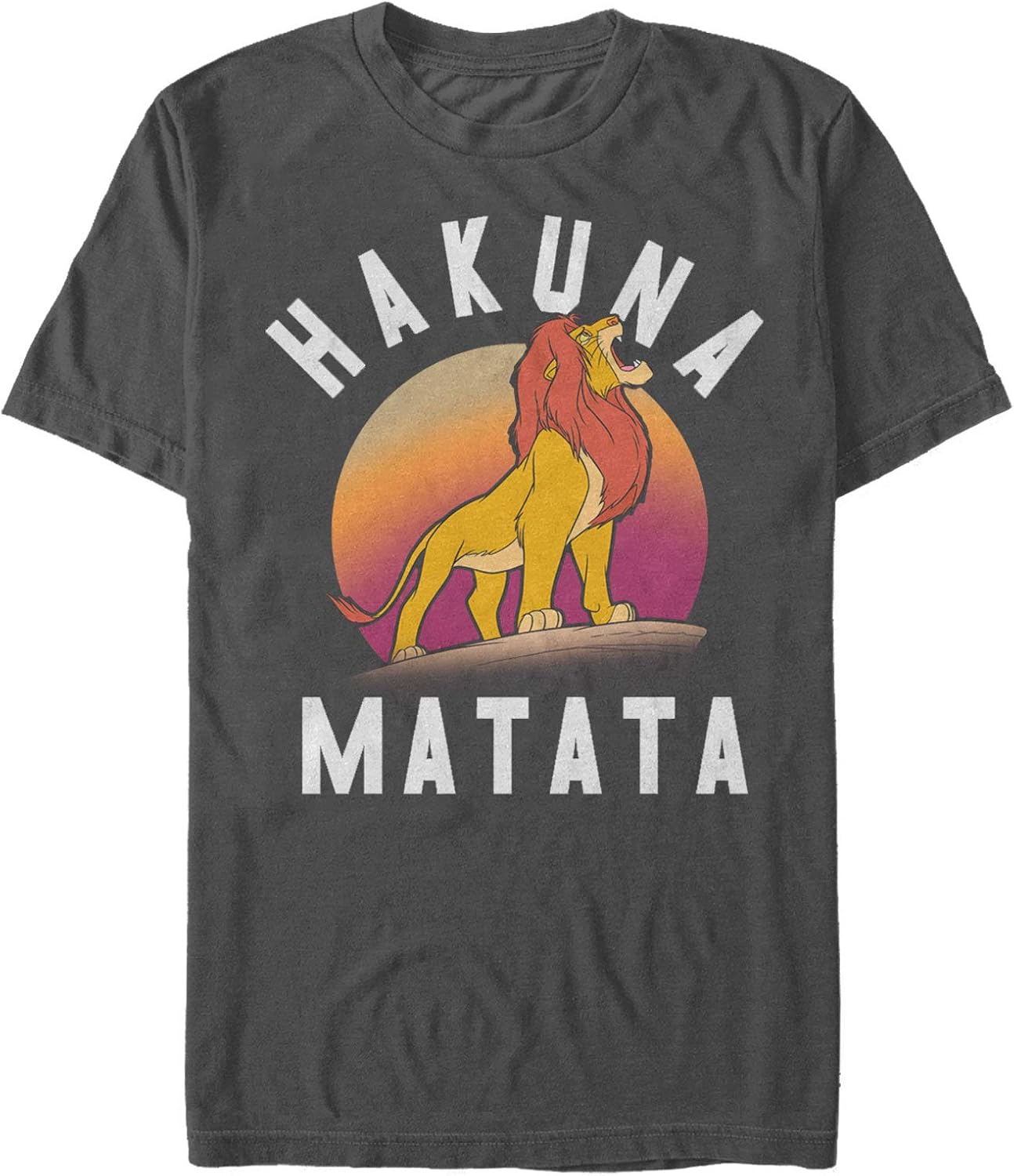 Disney Men's Lion King Simba Pride Hakuna Matata Warrior Graphic T-Shirt