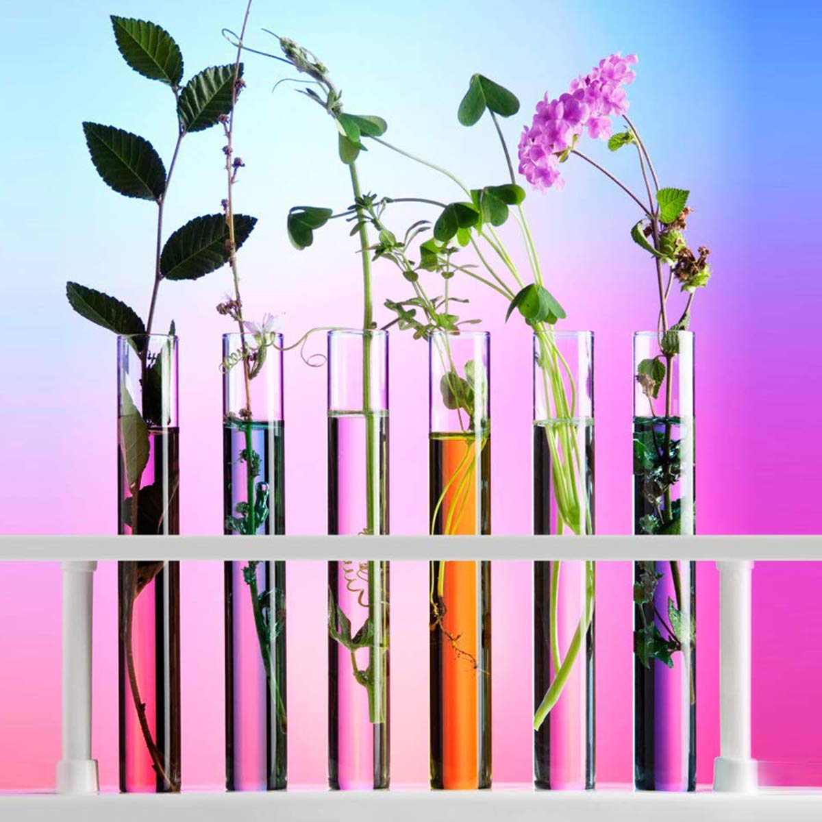 Tube 10x75mm Lot De 10 Tubes à Essai En Verre PYREX Borosilicate 3ml - 10 X 75mm - Réutilisables Verre Borosilicate Tube Essai 10x75mm