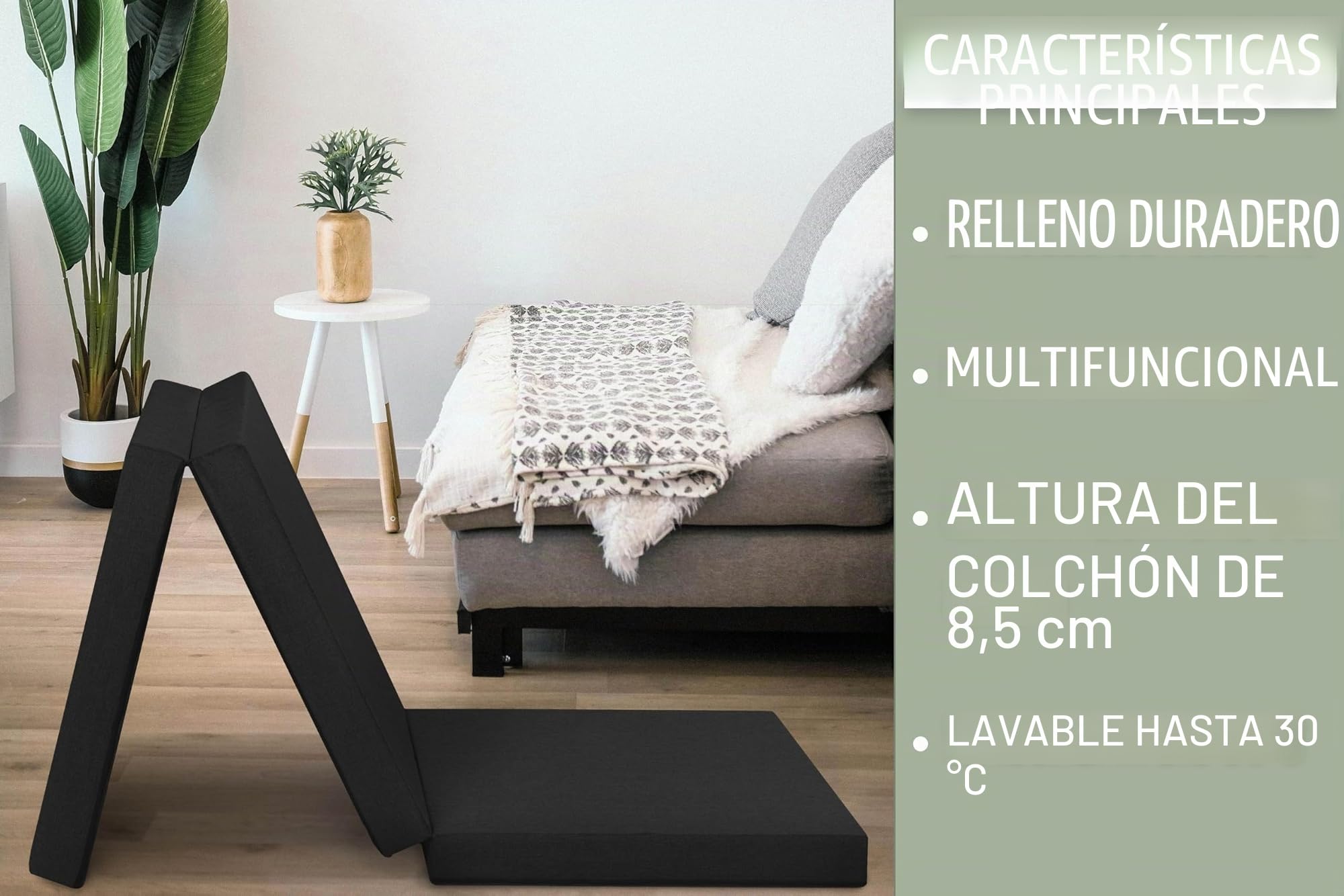 Badenia Trendline Colchón Plegable para Invitados con Funda de Microfibra Resistente, Certificado Öko-Tex, 196 x 65 cm, Negro, Fabricado según Estándares Alemanes de Calidad