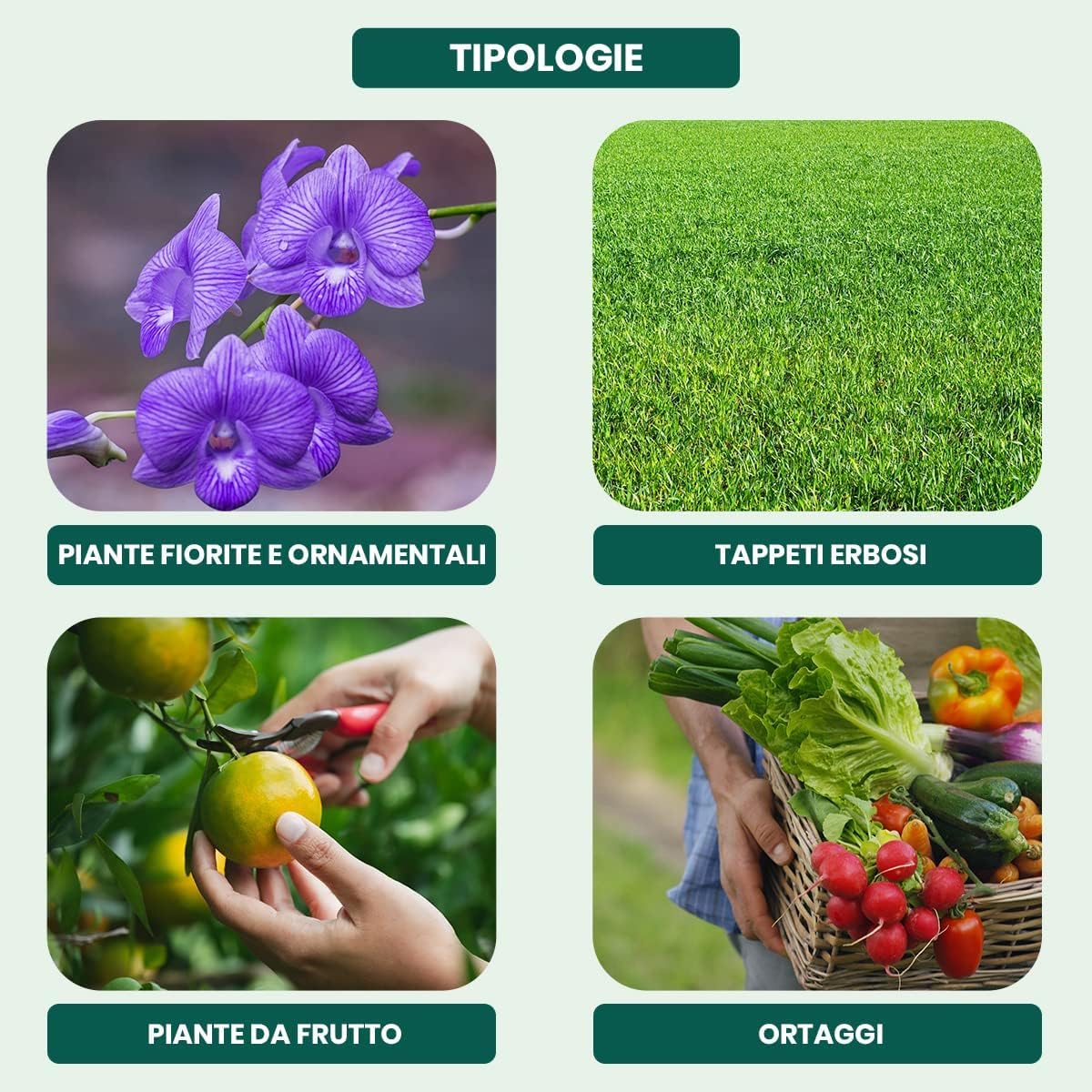 La zappa Solfato di ferro concime rinverdente per prato fertilizzante antimuschio 25 kg