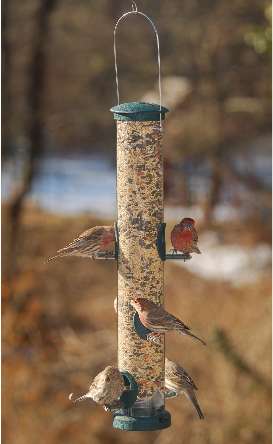 Aspects 425 Quick Clean Seed Tube Feeder, Spruce, Large