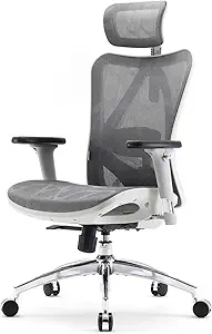 SIHOO M57 Ergonomic Office Chair with 3 Way Armrests Lumbar Support and Adjustable Headrest High Back Tilt Function Light Grey, M57-M114