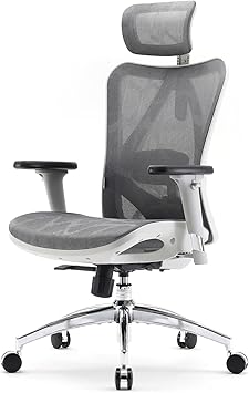 SIHOO M57 Ergonomic Office Chair with 3 Way Armrests Lumbar Support and Adjustable Headrest High Back Tilt Function Light Grey, M57-M114