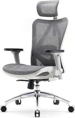 SIHOO M57 Ergonomic Office Chair with 3 Way Armrests Lumbar Support and Adjustable Headrest High Back Tilt Function Light Grey, M57-M114