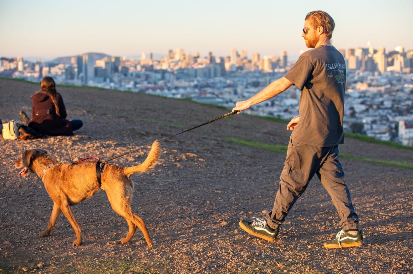 Stop 'N' Go Leash
