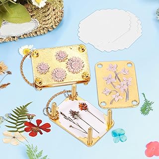 DJAPWPX 2 Pcs Micro Flower Press, DIY Creative Mini Flower Press Kit, Portable Floral Preservation Kit for Vegetation Love...