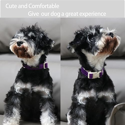 Miniatura 4 de ARING PET Collar de algodón morado para perro, ajustable, lindo collar para perro pequeño con hebilla duradera