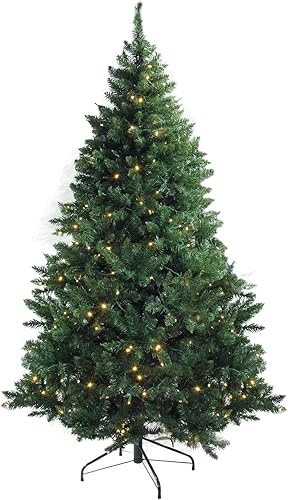 Northlight Z99594 6.5' x 49" Pre-iluminado Buffalo Fir Mediu